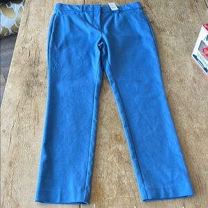 Loft Blue Skinny-Leg Pants